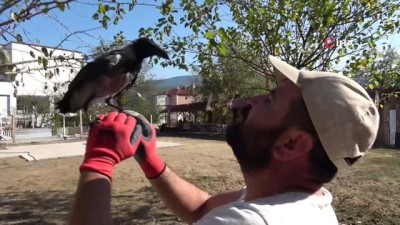  Esnaf ile karganın dostluğu