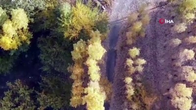 sonbahar -  Iğdır’da sonbaharın renkleri böyle görüntülendi Videosu