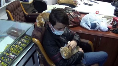  Yaralı kedinin tedavisi için dürümcüde çalıştı