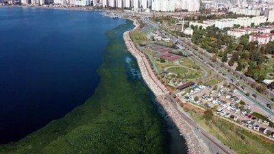 hava sicakliklari - 'Deniz marulları' İzmir Körfezi'ni yeşile bürüdü Videosu