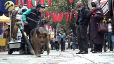su kanali -  Merak konusu olan sokak köpeği itfaiye ekiplerini de harekete geçirdi Videosu