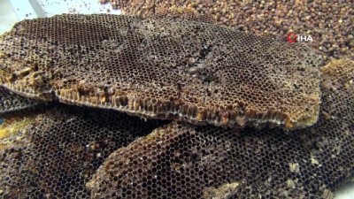  Vitamin deposu 'arı ekmeği' üretimi başladı