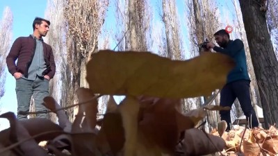 sonbahar -  Ağrılı fotoğraf severler çektikleri fotoğraflarla sonbaharı yansıttılar Videosu