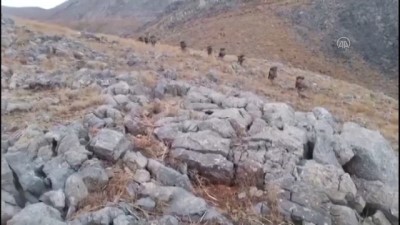 spor ayakkabi - BİTLİS - Bitlis'te mağara ve sığınaklarda PKK'lı teröristlere ait patlayıcı ve yaşam malzemeleri bulundu Videosu