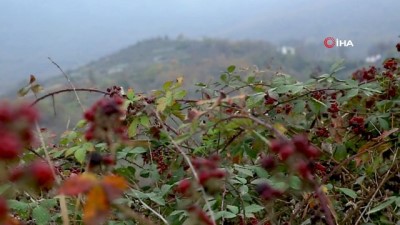 isgal - - Ermenistan İşgalinden Kurtarılan Domi Köyü Görüntülendi Videosu