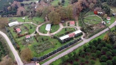 bulduk -  Hallerinden memnun olan ayılar kış uykusuna yatmıyor Videosu