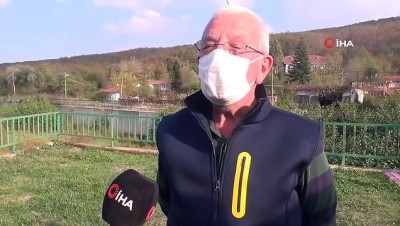 sonbahar -  Avrupa'dan Türkiye'ye uzanan ormanlarda görsel şölen Videosu