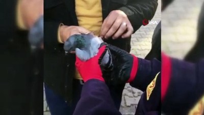 itfaiye merdiveni -  - Ayağına ip dolanan güvercini itfaiye ekipleri kurtardı Videosu