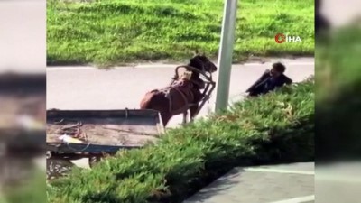 kamera -  - Bursa'da dehşet...Yükü çekmeyen atı böyle kırbaçladı Videosu