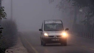 turkler - DÜZCE - Doğu Marmara ve Batı Karadeniz'de sis etkili oluyor Videosu