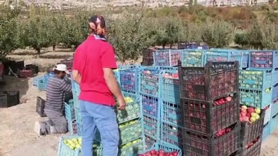 vergi dairesi - KARAMAN - Esentepe Mahallesi'nin emekli ve üniversite mezunu çiftçileri Videosu