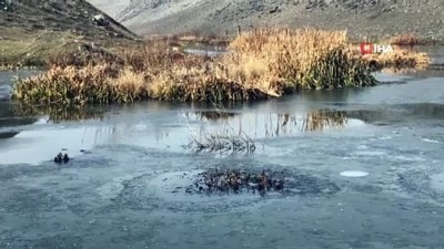 insaat iscileri -  - Kars’ta soğuk, Sarıkamış’ta kar yağışı Videosu