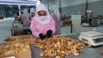 sifa deposu -  Aydın'dan 45 günde 83 ülkeye 70,22 milyon liralık incir ihracatı yapıldı Videosu