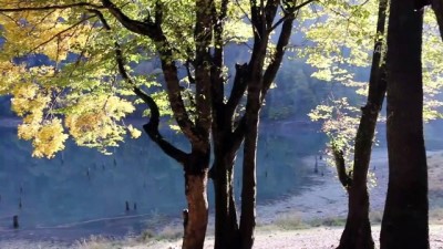 piknik alanlari - BOLU - Sülüklü Göl'de sonbaharın güzellikleri yaşanıyor Videosu