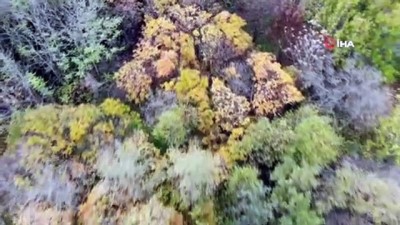 sonbahar -  Kadim payitaht ‘Hazan mevsiminde’ renk cümbüşüne sahne oluyor Videosu