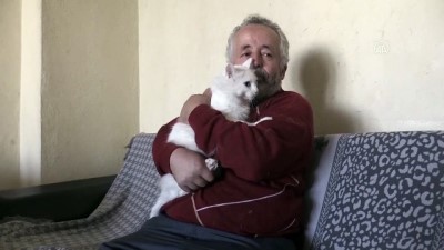 esenli - KAYSERİ - Van kedisini sahiplenmek için Çin'den Türkiye'ye geldi Videosu