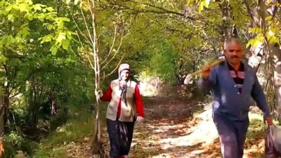 asirlik cinar - KONYA - Konya'da sonbahar renkleri ve karlı dağlar büyüleyici manzaralar oluşturdu Videosu