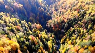 sonbahar -  Türkiye’nin en büyük blok ormanlarını barından Yenice’de sonbahar güzelliği Videosu