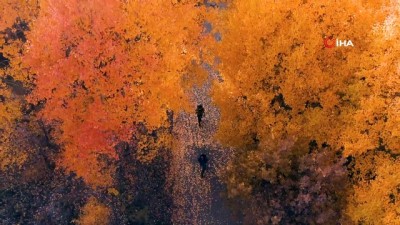  Afyonkarahisar’da kartpostallık sonbahar manzaraları