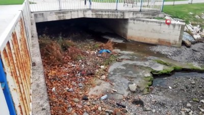 sizce -  Sahilde erkek cesedi bulundu Videosu