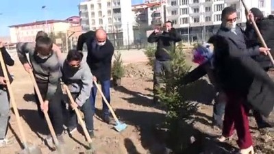 SİVAS -  'Okulda İlk Günüm, Hayatta İlk Ağacım' projesi kapsamında 1100 fidan dikildi