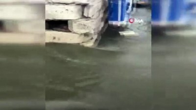tsunami -  O acı anlar kameraya yansıdı... Yükselen suyu görüntülerken babaannesinin cesediyle karşılaştı Videosu