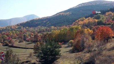 sonbahar -  Posof'ta renk cümbüşü Videosu