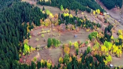 sonbahar -  Artvin’de masalsı sonbahar manzaraları Videosu