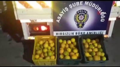 misyon -  Bahçeden 10 ton portakal çaldılar Videosu