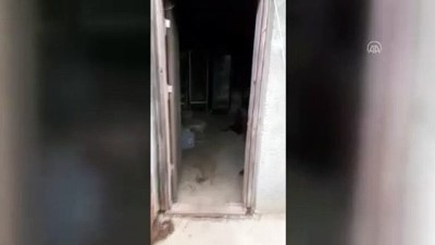 kacak icki - KIRKLARELİ - Bir evde 2 bin litre kaçak içki ele geçirildi Videosu