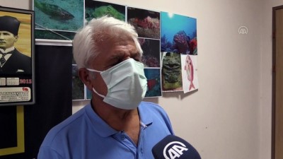 bulduk - ANYALYA - Avusturyalı turistlere, Antalya falezlerinde Akdeniz foku sürprizi Videosu