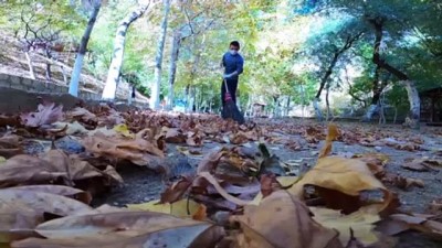 maneviyat - MALATYA - Tohma Kanyonu sonbahar renkleriyle görsel şölen sunuyor Videosu