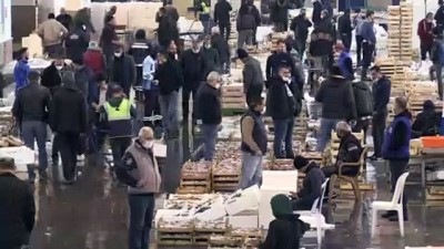 balikci teknesi - İZMİR - Talebe yetişemeyen İzmirli balıkçılar vites yükseltti Videosu