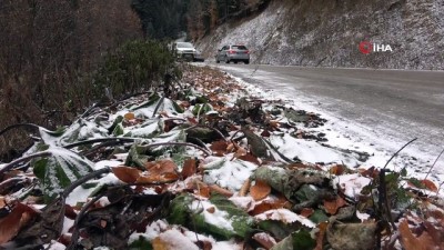 hava sicakliklari -  Yedigöller’e gelen tatilcilere kar engeli Videosu