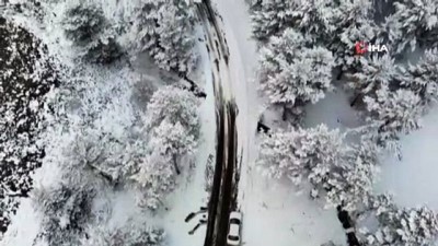 kar yagisi -  Beyaza bürünen 'Dumanlı Tabiat Parkı' görsel şölen sundu Videosu