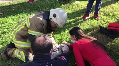 BURSA - Dumandan etkilenen kedilere kalp masajı ve oksijen desteğiyle müdahale ettiler