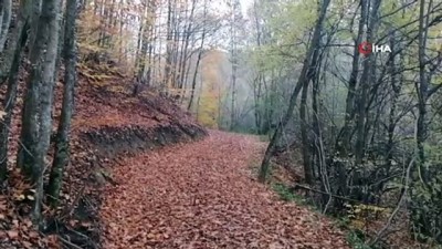 sonbahar -   Küçükelmalı Tabiat Parkı’nda sonbaharın son günlerinde kartpostallık görüntüler Videosu