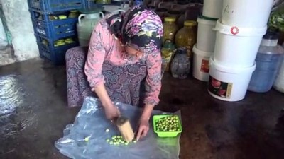 ilahiyat fakultesi -  Okuyan çocuğu ve engelli eşi için zeytincilik işine girdi, şimdi yılda 6 ton zeytin satıyor Videosu