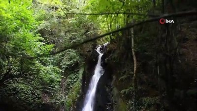 hafta sonu tatili -  Ormanın içindeki gizli cennet...Aydınpınar Şelalesi'ne 4 mevsim ziyaretçi akını Videosu