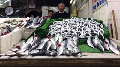 ZONGULDAK - Batı Karadeniz'de balığın azalması fiyatları artırdı