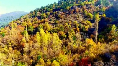 olgunluk - AFYONKARAHİSAR - Kiraz ve vişne bahçelerindeki hazan renkleri Videosu