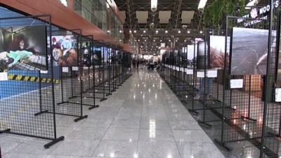 İSTANBUL - Istanbul Photo Awards 2020'nin ikinci sergisi Sabiha Gökçen Uluslararası Havalimanı'nda açıldı