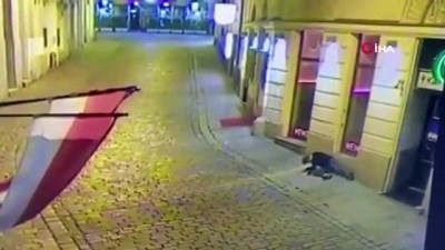 gorgu tanigi -  - Avusturya’daki silahlı saldırıda ölü sayısı 3’e yükseldi Videosu