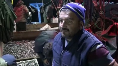 BARTIN - Palamuda erken veda eden balıkçıların umudu hamside