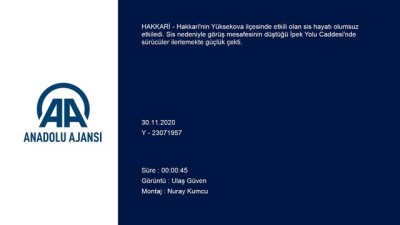 HAKKARİ - Yüksekova'da sis etkili oldu