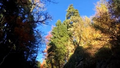 kusburnu - KARABÜK - Karabük ormanları sonbahar güzelliğiyle hayranlık uyandırıyor Videosu