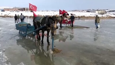 buz tutan gol - KARS - Çıldır Gölü'nde masalsı atlı kızak gezintileri başladı Videosu