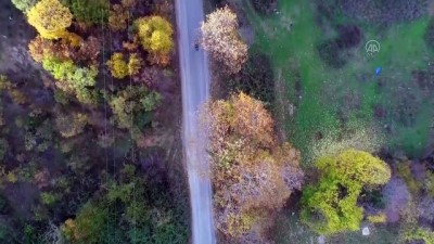 TEKİRDAĞ - (Drone) Ganos Dağı eteklerinde sonbaharın son günü büyülüyor