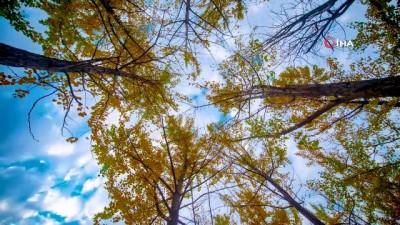 sonbahar -  Başkent’te sonbahar Videosu