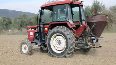 yerli uretim -  Menteşe’de ata tohumu buğdaylar toprakla buluştu Videosu